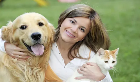 A importância da castração para cães e gatos: benefícios e controle populacional.