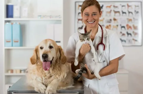 Importância da vacinação para cães e gatos: prevenção de doenças e cuidados veterinários
