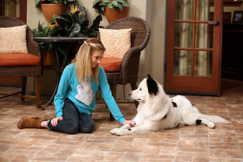 Dicas de Exercícios Divertidos para Cães Ativos e Saudáveis dentro de Casa