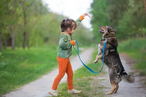 Guia completo de enriquecimento ambiental para cães: crie um ambiente saudável para o seu pet!