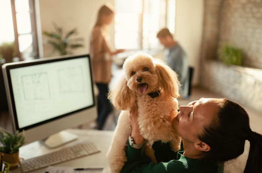 Plano de Saúde Pet: Guia Completo Para Escolher o Melhor Plano Para Pets